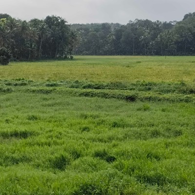 روتين يومي لابد منه ..⏰✔️ DODDAIAH . E ಬೆಂಗಳೂರು post image