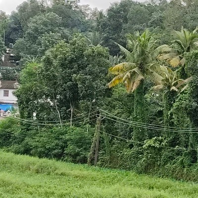 Coachpawandagar Walk Challenge DODDAIAH . E ಬೆಂಗಳೂರು post image