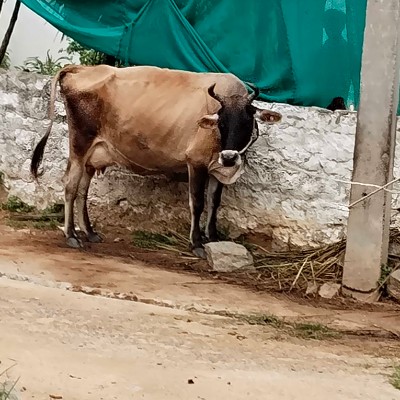 Клуб 5 утра DODDAIAH . E ಬೆಂಗಳೂರು post image