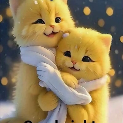 Nosotros somos familia DODDAIAH . E ಬೆಂಗಳೂರು post image