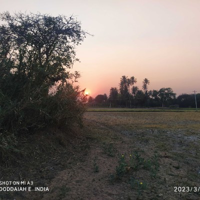 ๐ค๐ Indian Joggers ๐๐ค DODDAIAH . E เฒฌเณเฒเฒเฒณเณเฒฐเณ post image