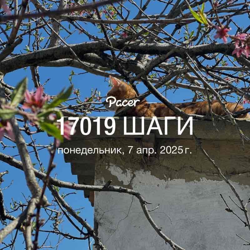 dzhamili92 💫 post 1