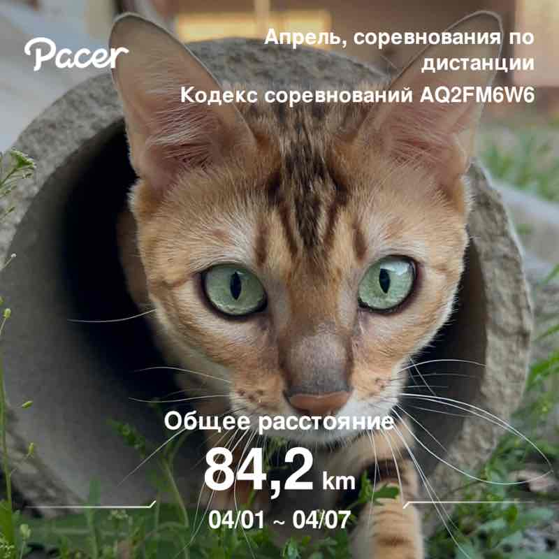 dzhamili92 💫 post 1