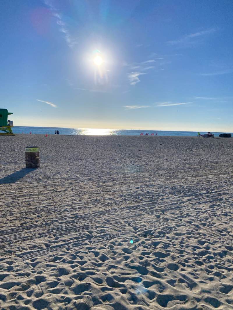 walking near me in Flamingo Park in winter