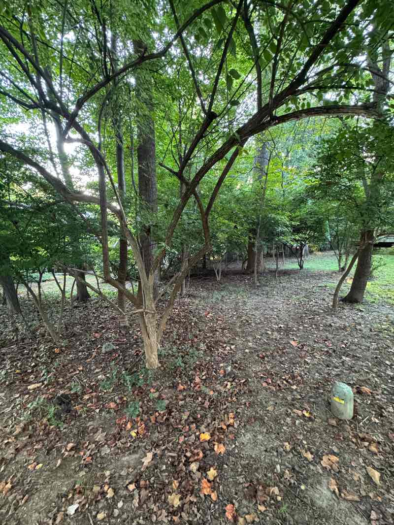 walking near me in Dogwood Park in autumn