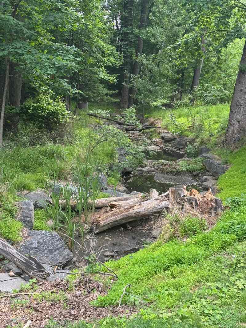 walking near me in Dogwood Park in summer