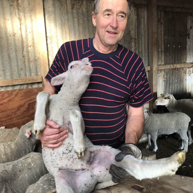 Family New Virginia post image