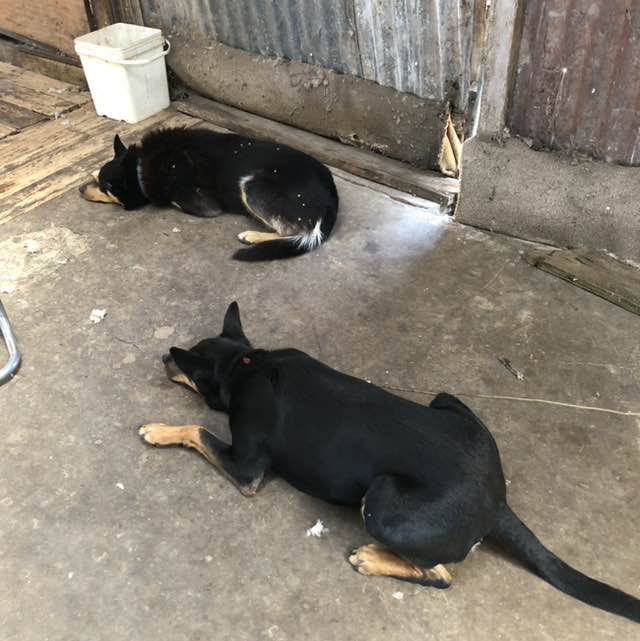 Family New Virginia post image