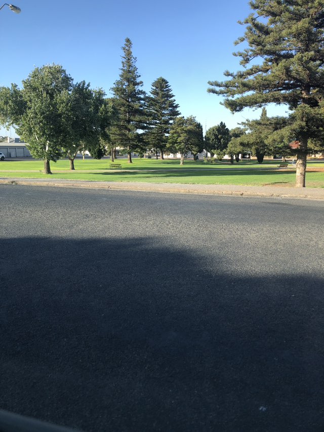 walking near me in Queen Square in autumn