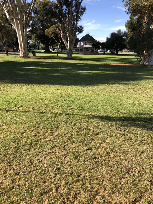 walking near me in Victoria Square in autumn