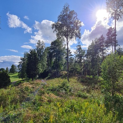 Lauffreunde Steffen post image