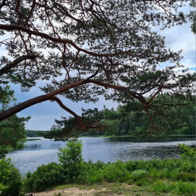 Lauffreunde Steffen post image