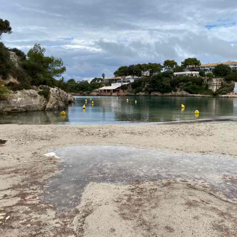 Lisa_Dryburgh post 1