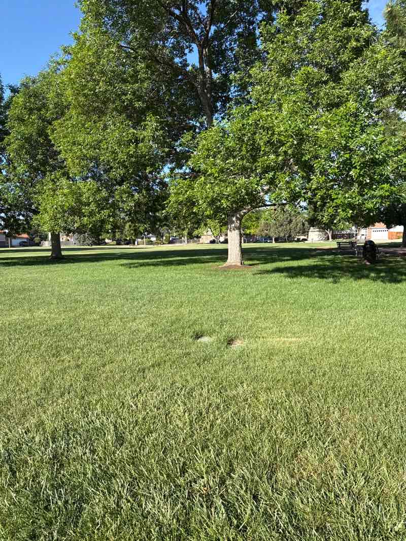 walking near me in Remington Park in summer