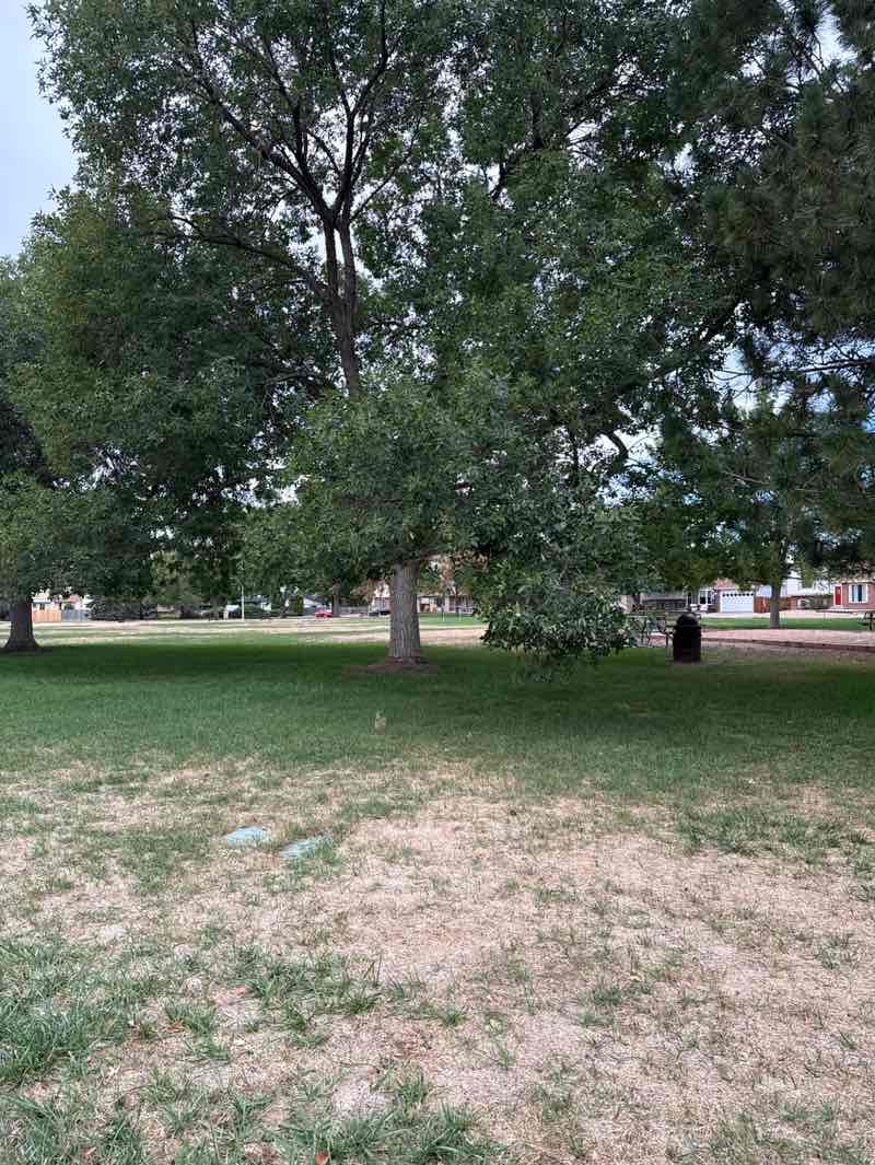 walking near me in Remington Park in autumn