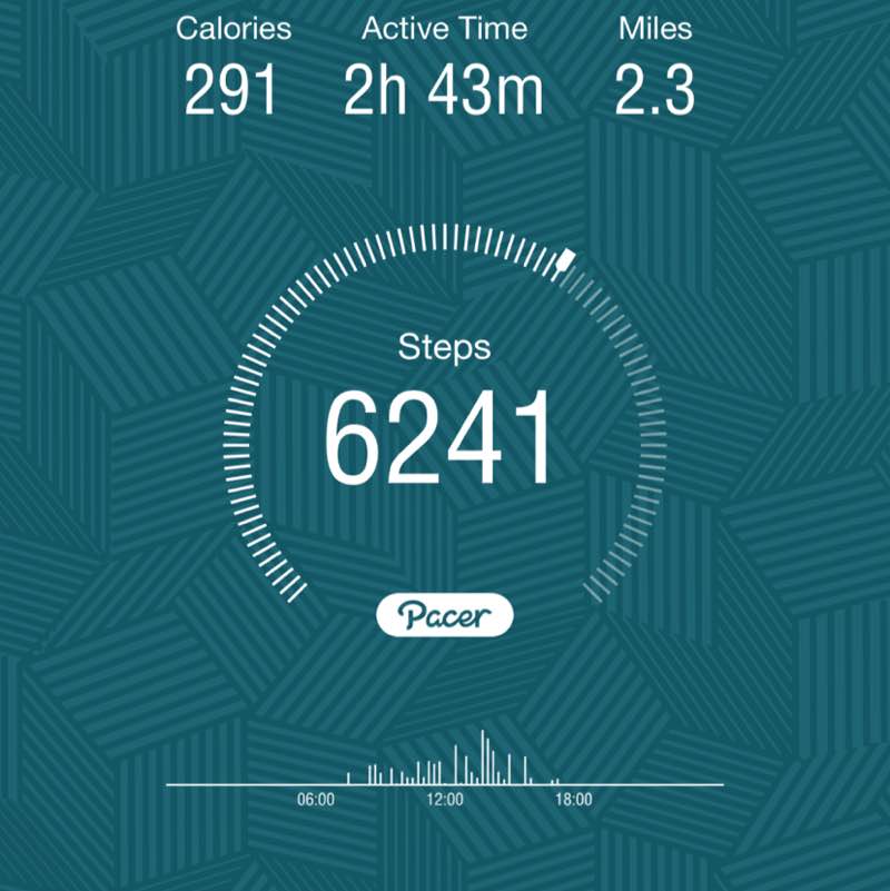 PacerGal_1971 post 1