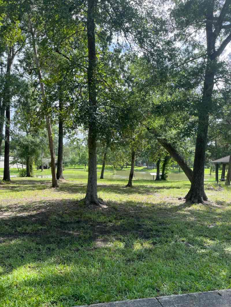 walking near me in Paul Hopkins Park in summer