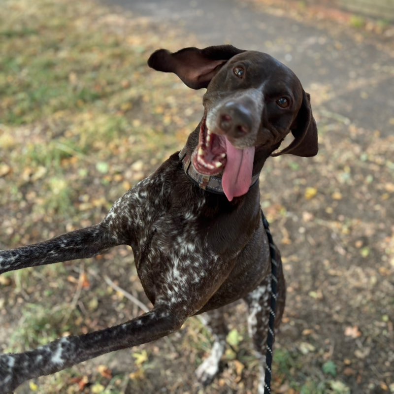 nicksawyer80 profile