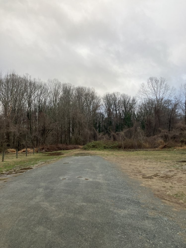walking near me in Shaffner Park in winter