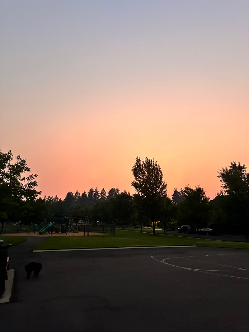 walking near me in Sun Meadow Park in autumn