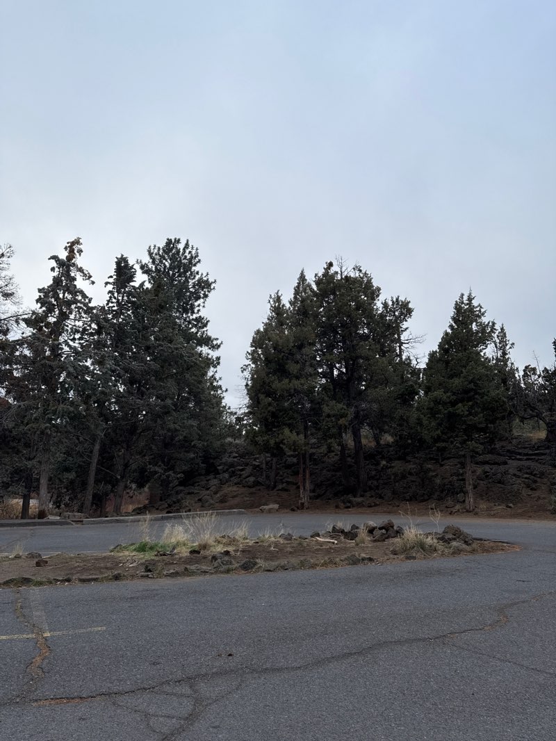 walking near me in Sawyer Park in autumn