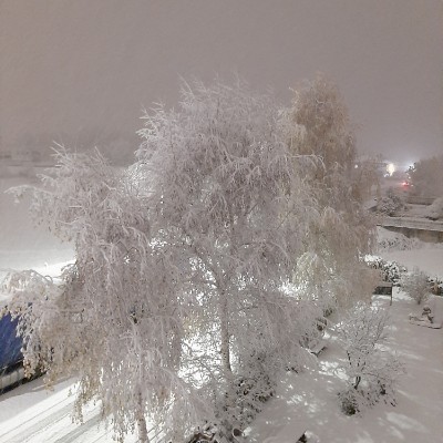 Camminatori, quelli bravi🚶‍♀️🚶 Giovanna post image