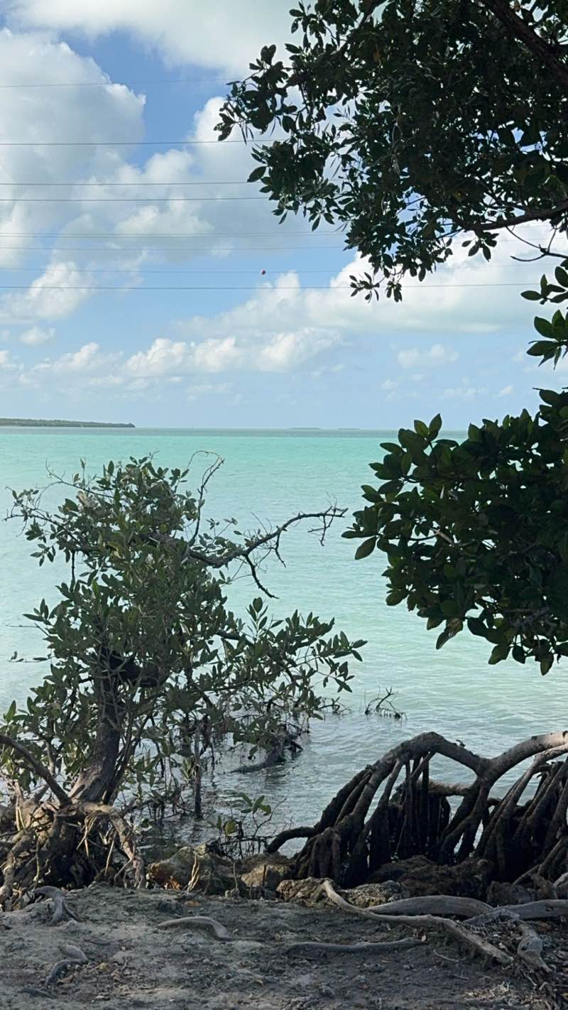 walking near me in Anne's Beach in winter