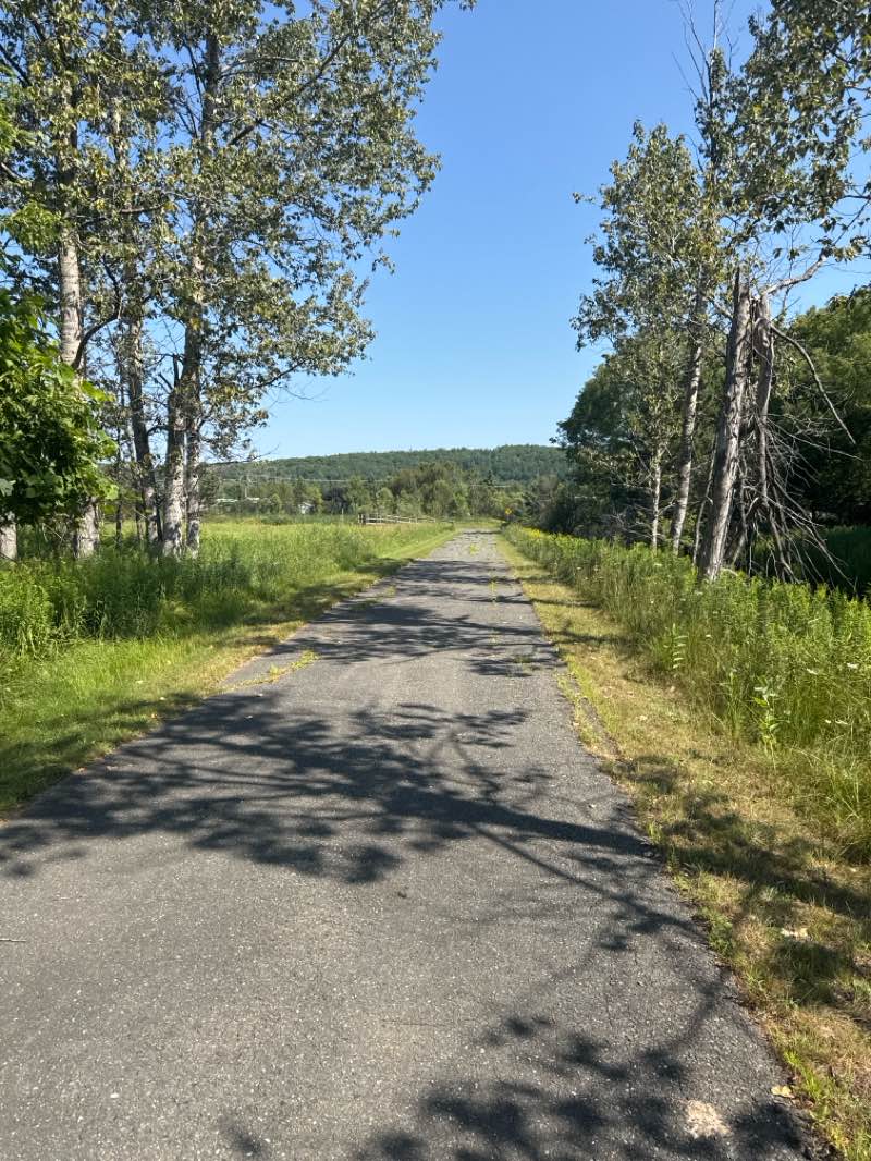 walking near me in Norway Myr in summer