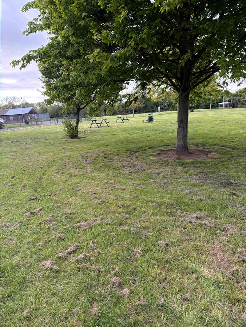 walking near me in Keenan Park in spring