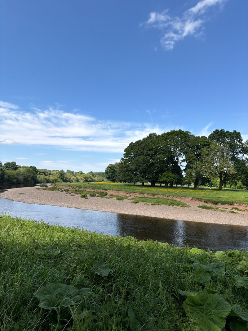 walking near me in Rickerby Park in summer