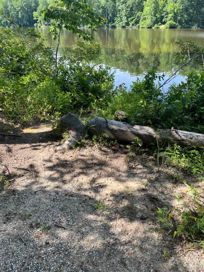 walking near me in Bear Creek Lake State Park in winter