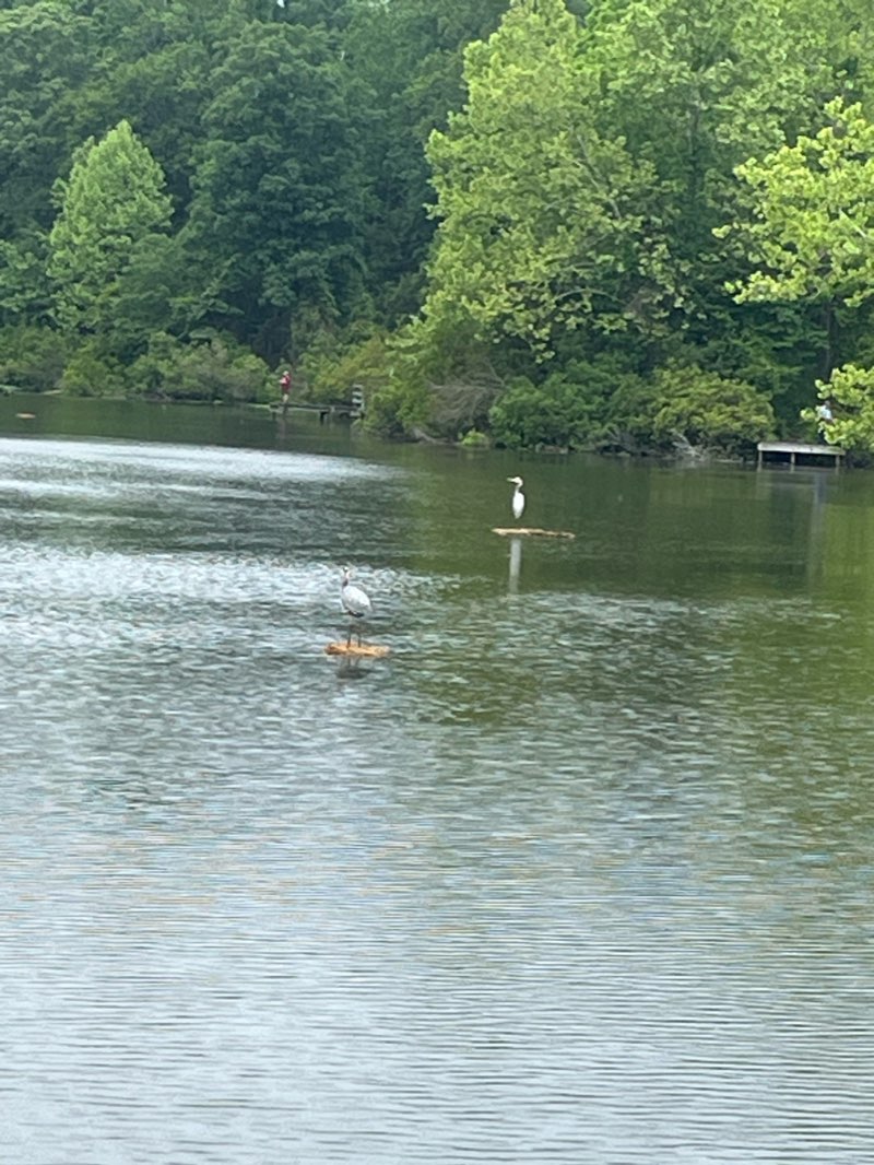 walking near me in Chesapeake Bay National Estuarine Research Reserve - Taskinas Creek in winter