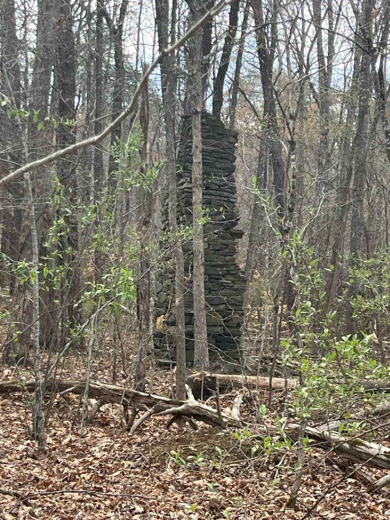 walking near me in Smith Mountain Lake State Park in spring