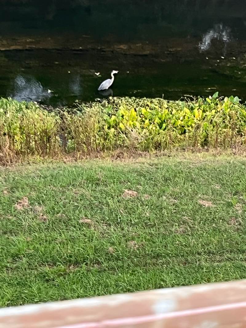 walking near me in Great Shiplock Park in autumn
