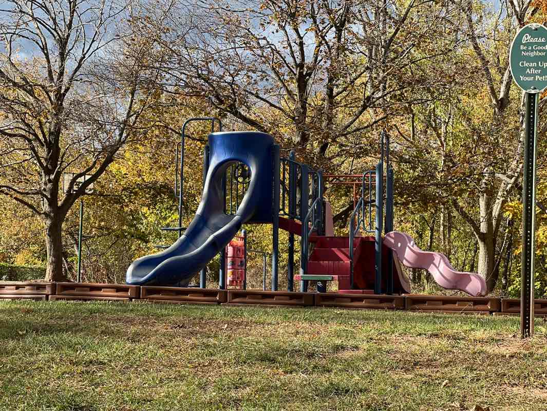 walking near me in Alexandra Park Higher End in autumn