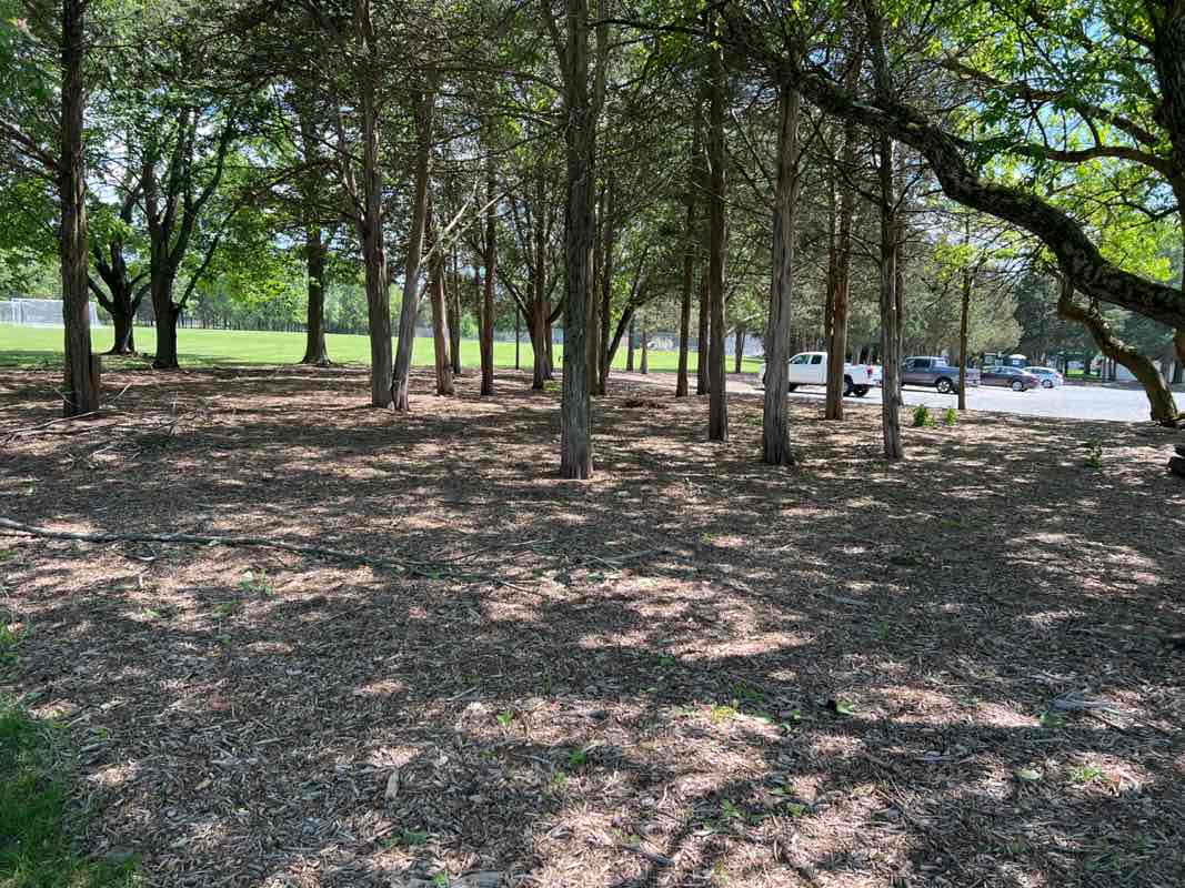 walking near me in Woodfield Park in spring