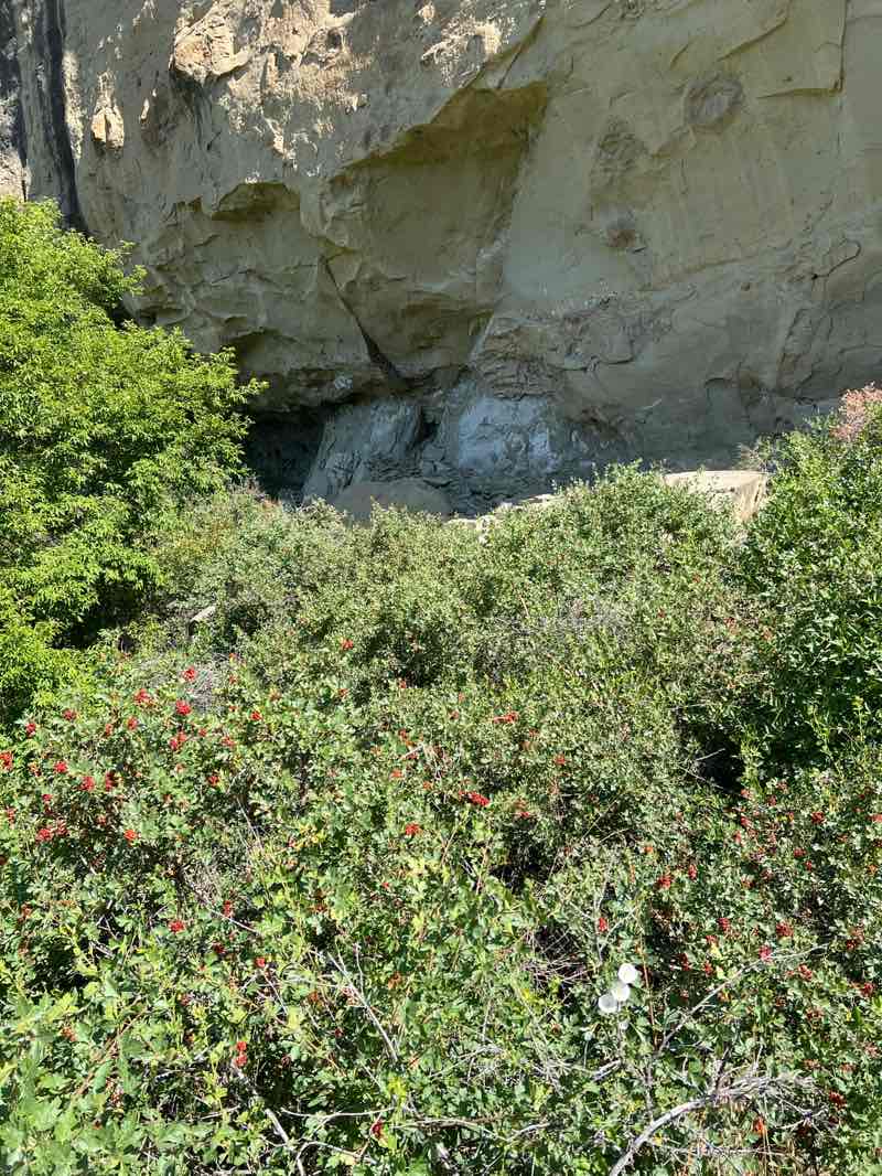 walking near me in Pictograph Cave State Park in summer