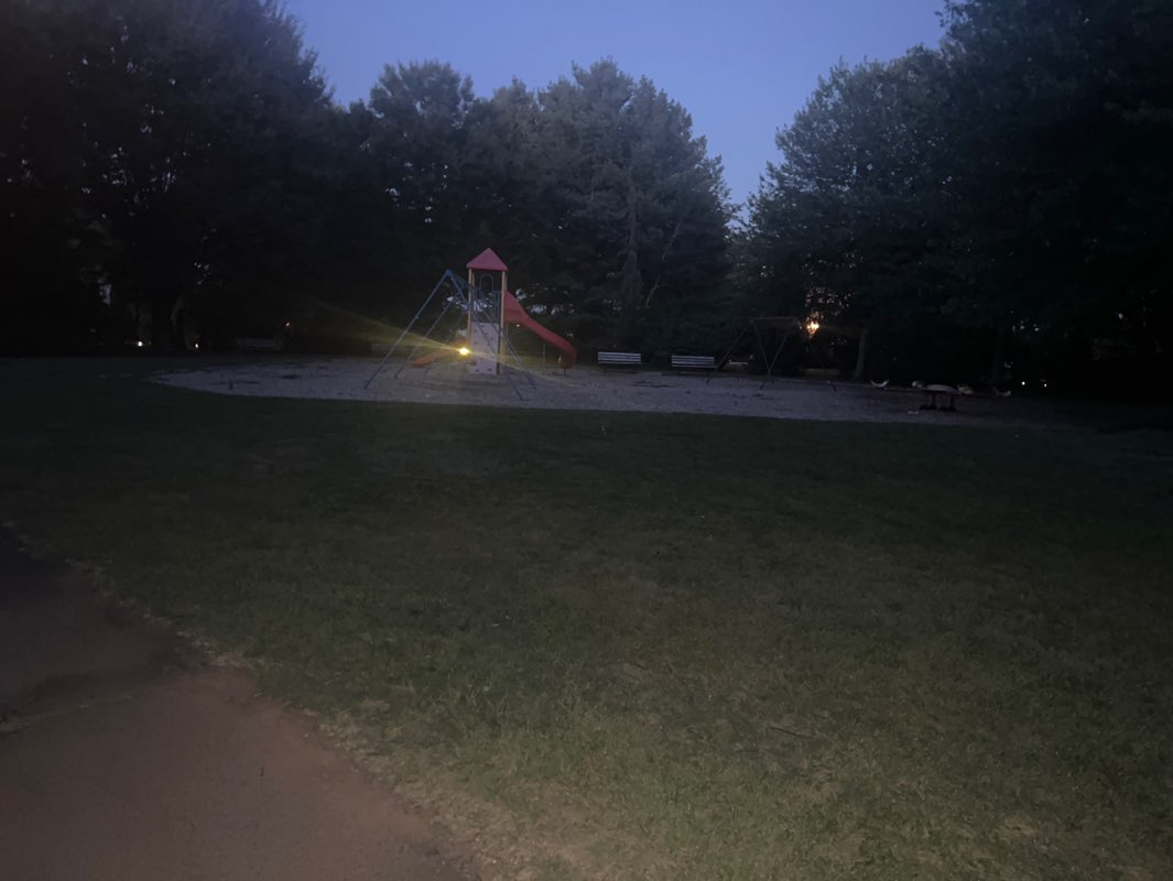 walking near me in Rohill Playground in autumn