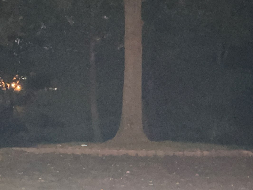 walking near me in New Center Greens in autumn