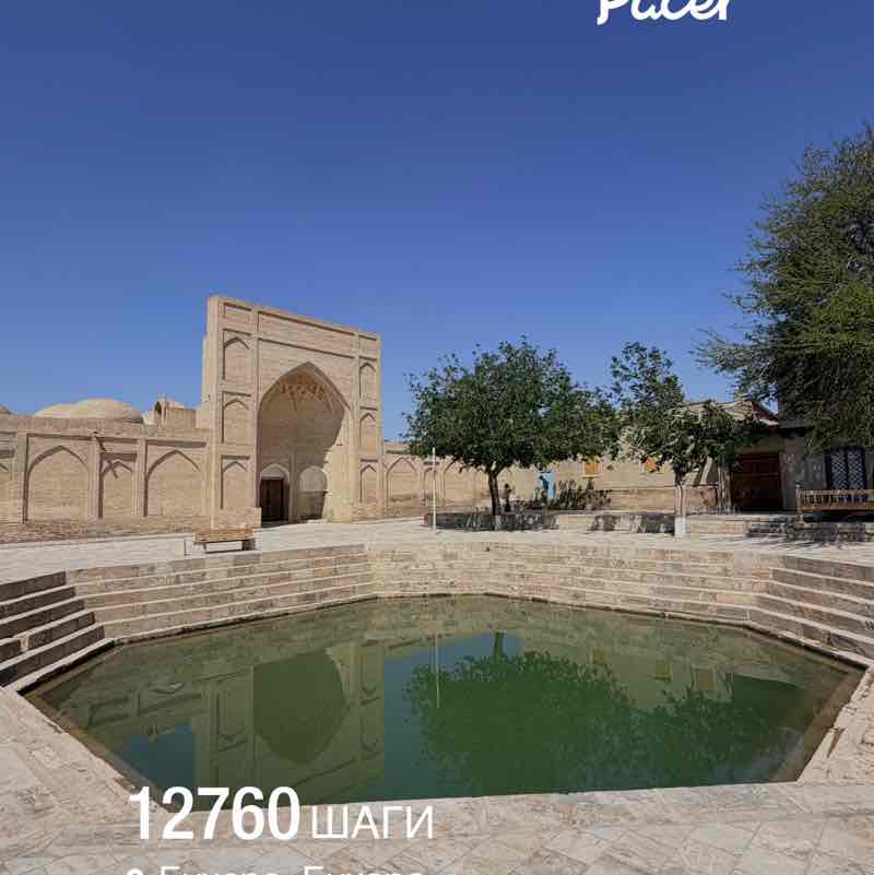 Авдотья 🐯 post 1