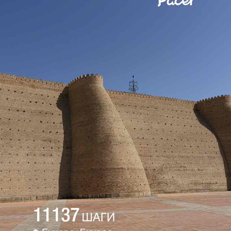 Авдотья 🐯 post 1