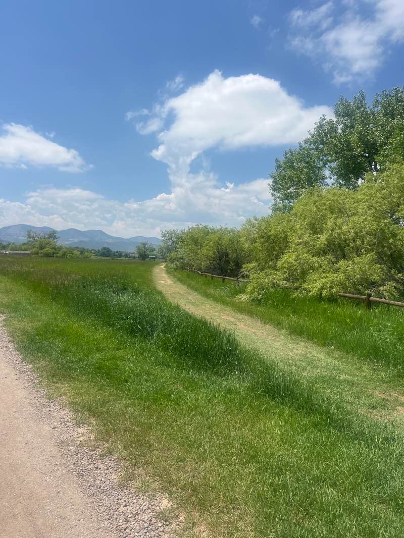 walking near me in Harriman Lake Park in summer