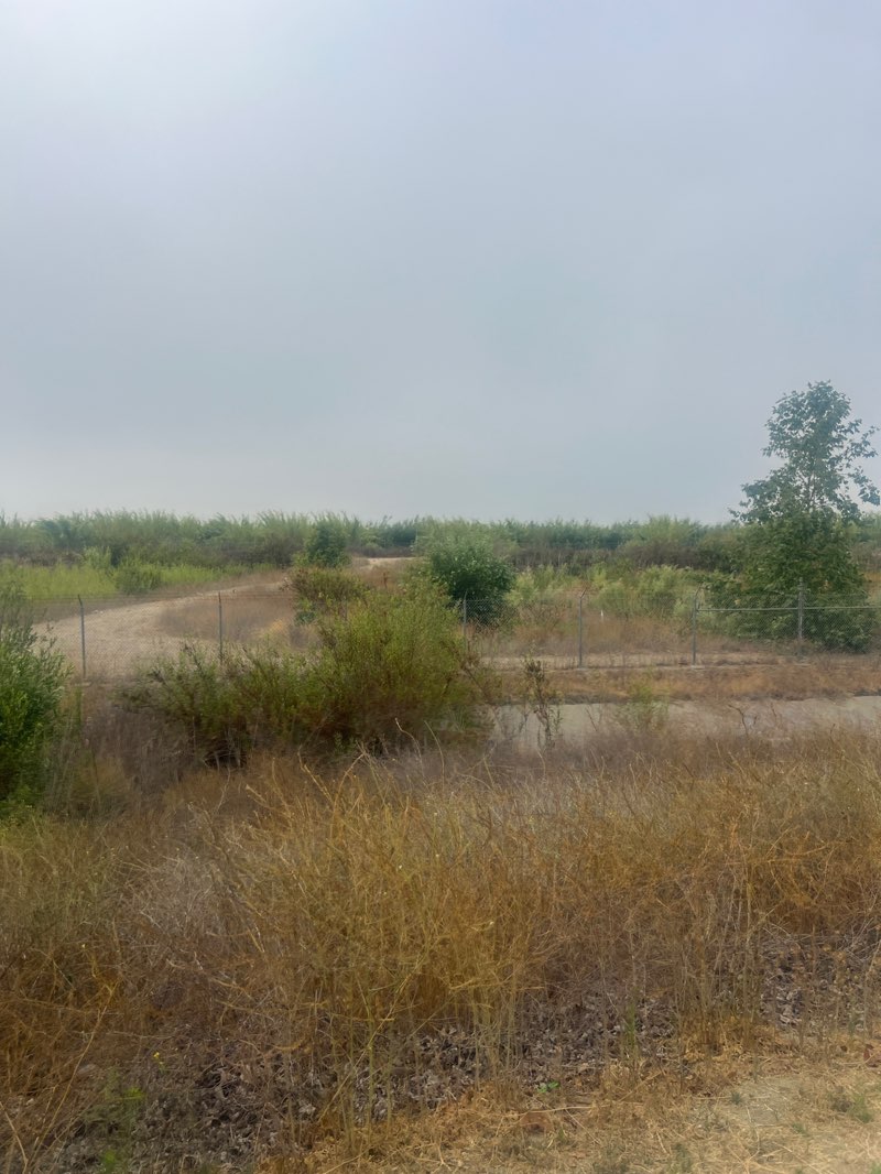 walking near me in Two Rivers Park in summer