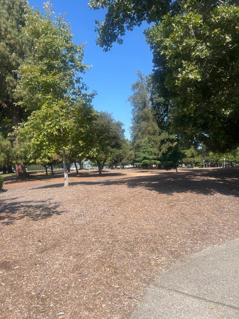 walking near me in Ponderosa Park in summer