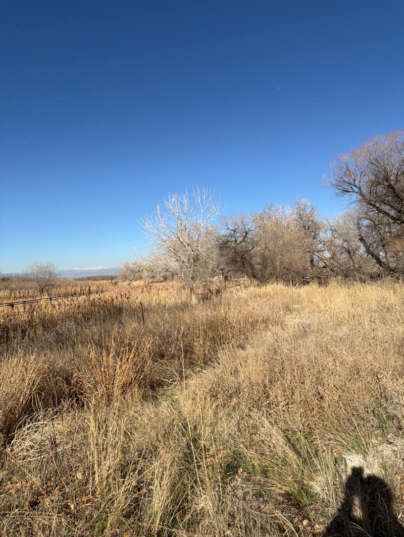 walking near me in Rocky Mountain Arsenal National Wildlife Refuge in spring