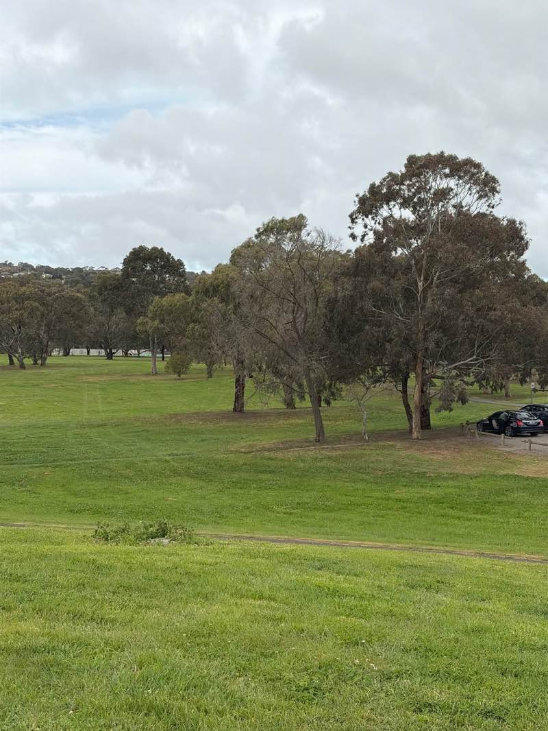 walking near me in Fyansford Common in spring