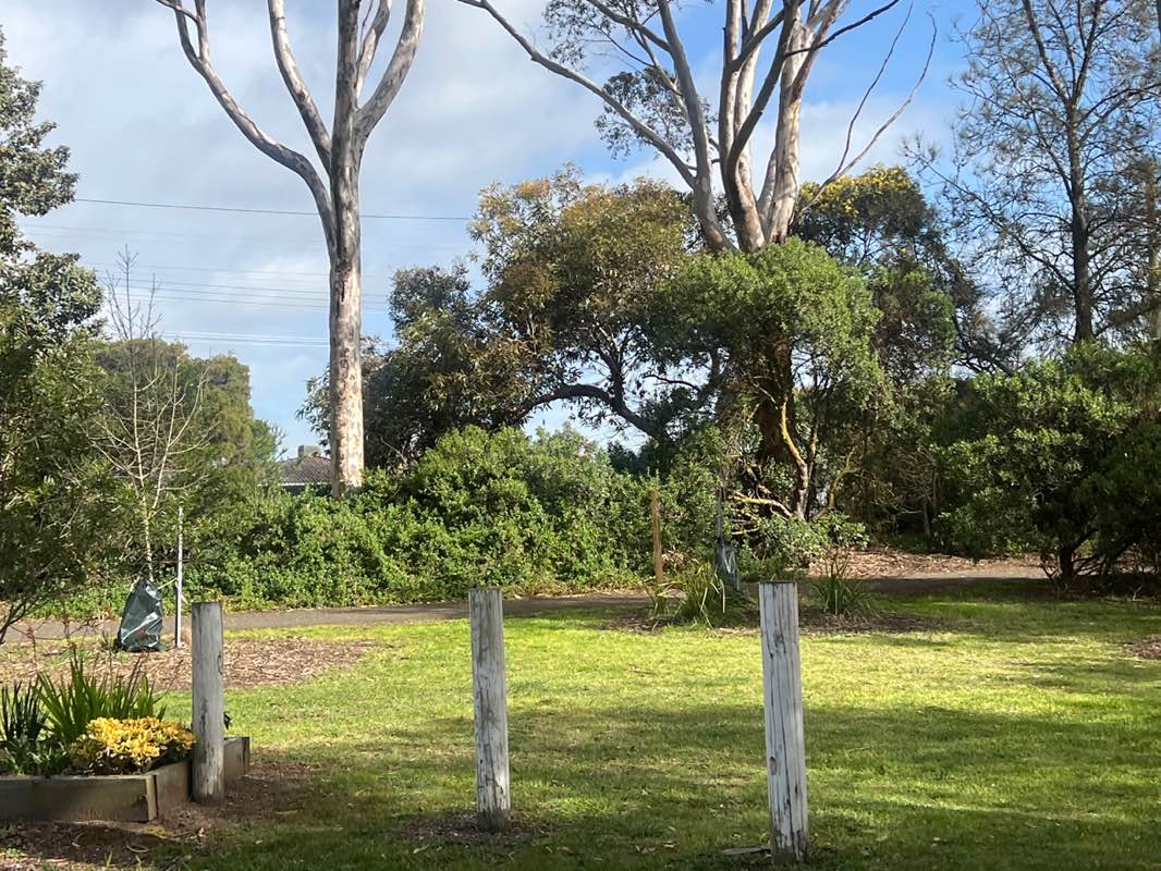 walking near me in Kevin Kirby Reserve in spring