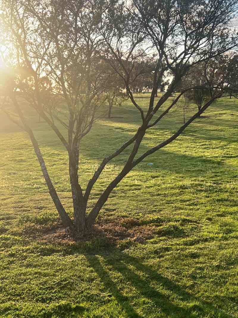walking near me in Drewan Park in spring