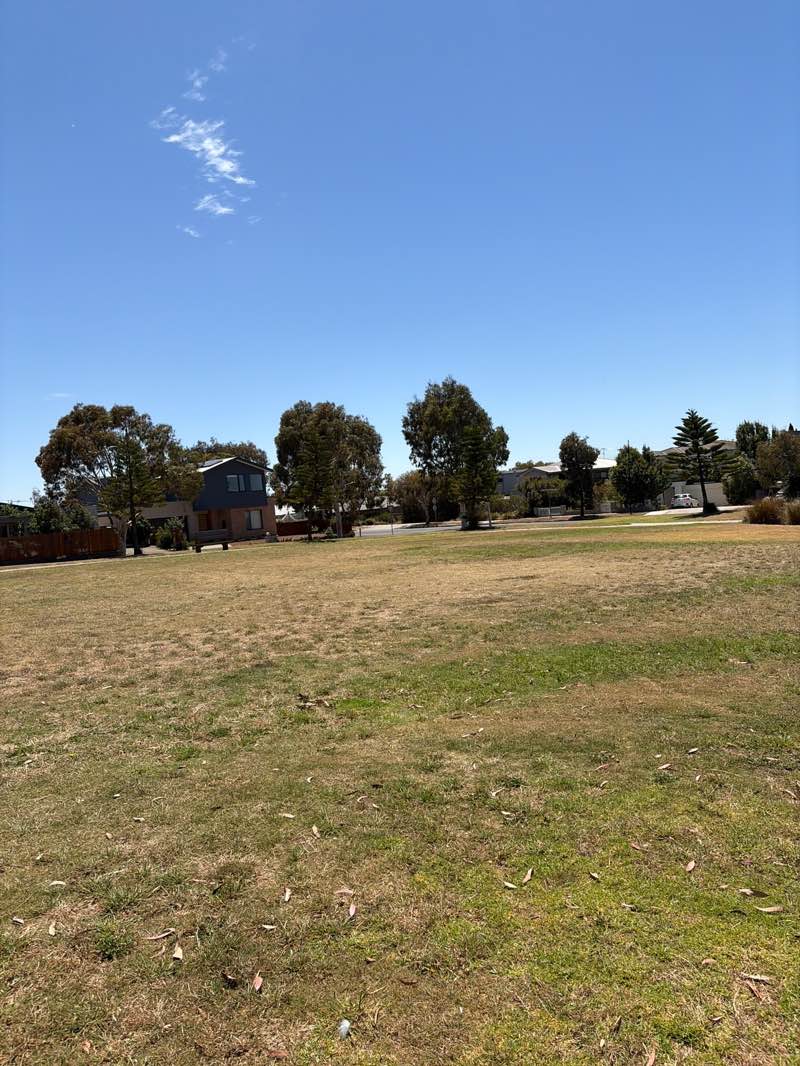 walking near me in Hilltop Reserve in summer