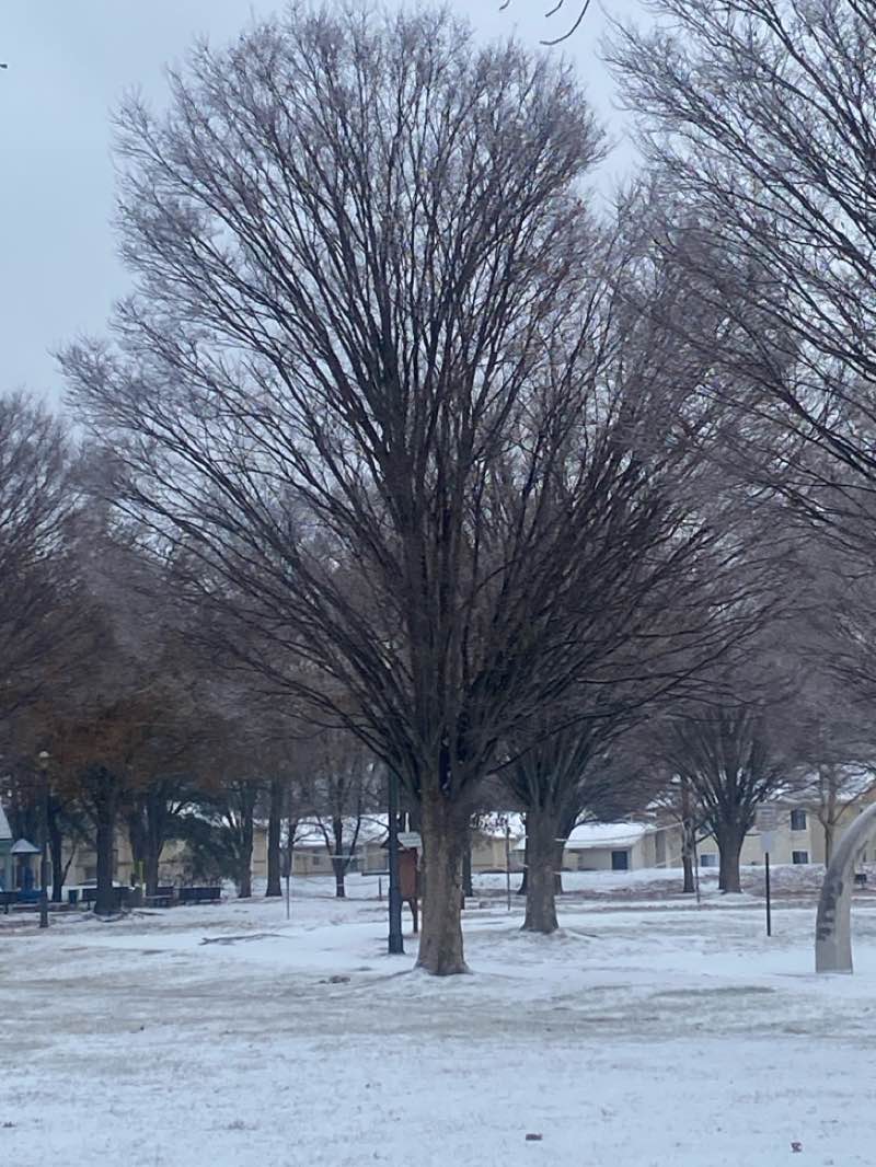walking near me in Morris Davison Park in winter